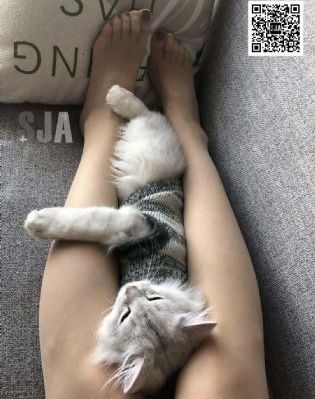 韩国成人视频在线观看下载_HD在线观看视频