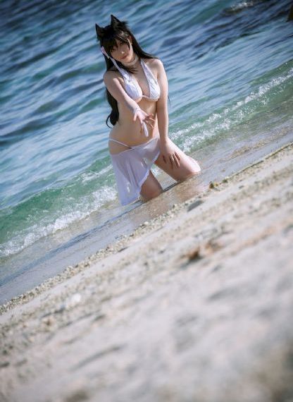 欧美海盗兽视频_DVD在线播放