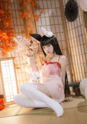 国产aⅴ美女久久_DVD免费高清观看